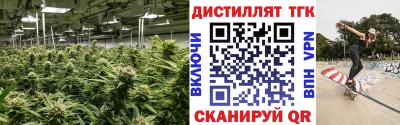 дарк нет наркотические препараты  ссылка на мегу ССЫЛКА  Струнино  где купить наркотик  ТГК Wax 