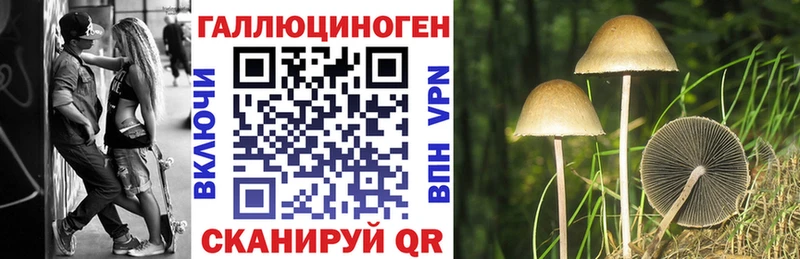 Псилоцибиновые грибы Psilocybe  Струнино 